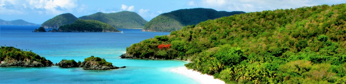 Trunk Bay (Rennett Stowe)  [flickr.com]  CC BY 
Información sobre la licencia en 'Verificación de las fuentes de la imagen'